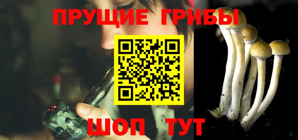 Псилоцибиновые грибы ЛСД  Вход с VPN  Черногорск 